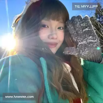 梅鹃仪